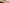 Naviate Accelerate exterior wood covering 1920x1080