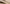 Naviate Accelerate October Release
