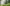 Naviate Outdoor Areaplayground And Trees 1920X1080.Jpg